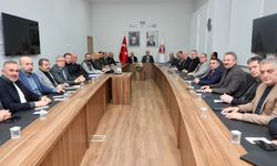 Ordu'da sahipsiz sokak hayvanlarına yönelik çalışmalar değerlendirildi