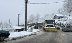 Ordu'da yeni yılın ilk gününde kar yağışı etkili oldu
