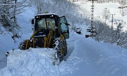 Ordu'nun yükseklerinde yoğun kar yağışı