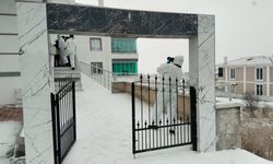 Oturdukları dairede başlarından vurulmuş cesetleri bulundu