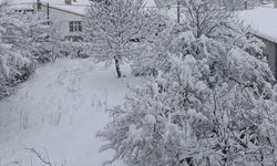 Samsun'da kar yağışı; ulaşım aksadı