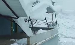Siirt'te kar nedeniyle seralar çöktü, cami girişindeki çatı yıkıldı