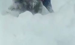 Sinop'ta yavru domuzu elleriyle yakalayan kişinin cezası iptal edildi