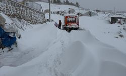 Şırnak'ta 20 köy yolu kardan kapandı (2)