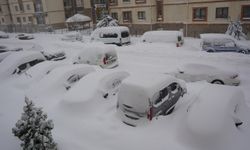 Şırnak'ta 20 köy yolu kardan kapandı