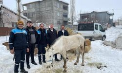 Sokağa terkedilen hayvanlara sahip çıkan besiciye yem desteği