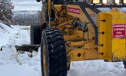 Tokat'ta kar yağışı sebebiyle 301 köy yolu kapandı