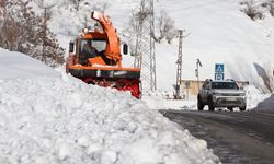 Van ve Bitlis'te kardan kapanan 283 yerleşim yeri, ulaşıma açıldı