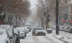 Van'da 625 yerleşim yeri ulaşıma kapandı