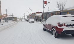 Van'da 90 yerleşim yerinin yolu kardan kapandı