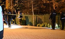 Yılbaşı kutlamasında çıkan kavgaya müdahale eden polis bıçakla yaralandı