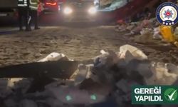 Yol kenarına hafriyat döken kamyon sürücüsüne 63 bin lira ceza; olay anı kamerada