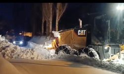 Yolu kapalı mezrada rahatsızlanan KOAH hastası, 3,5 saatlik çalışmayla hastaneye ulaştırıldı(2)