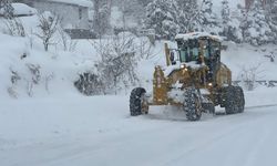 Yüksekova'da araçlar kara gömüldü, 177 yerleşim yerinin yolu kapalı (2)