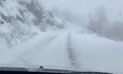 Zonguldak yeni yıla karla başladı (3)