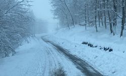 Zonguldak'ta 185 köy yolu kar nedeniyle kapandı