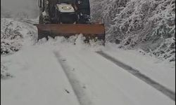 Zonguldak'ta kar yağışı nedeniyle 62 köy yolu kapandı