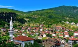 '2050'de dünya nüfusunun yüzde 21'inin 60 yaş üstü olacağı tahmin ediliyor'