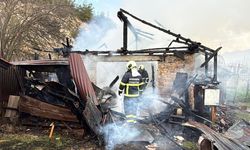 Ahırda çıkan yangında 2 köpek öldü