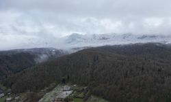 Bartın'ın yüksek kesimlerine kar yağdı