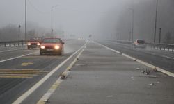 Bolu Dağı'nda hafif kar yağışı ve sis