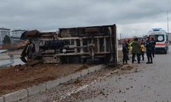 Büyükbaş yüklü kamyonet devrildi; 3 yaralı