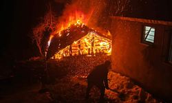 Çayır damı çıkan yangında küle döndü