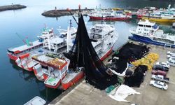 Karadeniz'de 'sessiz katil hayalet ağlara' robotik müdahale