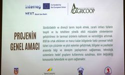 Karadeniz'de zararlı böceklere mücadele projesi