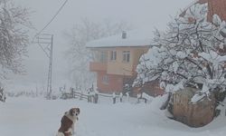 Kastamonu'da 243 köy yolu ulaşıma kapandı