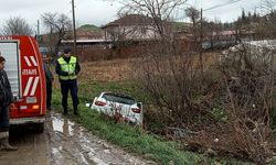 Köpeğe çarpmamak isterken şarampole uçtu: 2 yaralı