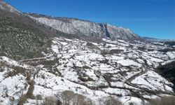 Küre Dağları Milli Parkı'nda kar manzarası