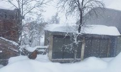 Ordu'nun Çambaşı Yaylası'nda kar kalınlığı 1,5 metreye ulaştı