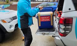 Organ bağışıyla umut oldu