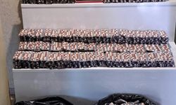 Tokat'ta 55 bin 440 adet sentetik ecza hap ele geçirildi