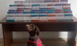 Yurt dışından yurda sokulan binlerce elektronik sigara kiti ele geçirildi