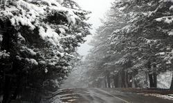 Abant, beyaz örtüyle kaplandı