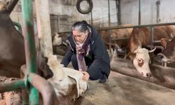 Kadınlar Günü'nde 8 kadının hikayesi videoda buluştu