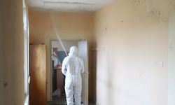 Kahverengi kokarcalar kışlaklardan çıkmadan imha ediliyor