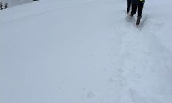 Karda mahsur kalan hayvanları köyün gençleri kurtardı