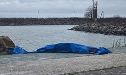 Ordu'da sahile insansız araç olduğu değerlendirilen cihaz vurdu