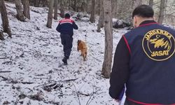 Ormanda bulunan kafatası ve kemik parçaları 2 kadına ait çıktı; 10 yıllık çifte cinayet aydınlatıldı