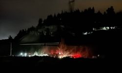 Ormanda çıkan örtü yangını söndürüldü