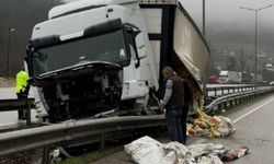 Park halindeyken hareket eden TIR, refüje çarptı