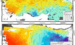 Prof. Dr. Kutoğlu'nun 'Anadolu'yu ikiye ayırabilecek gerinim hattı' makalesi uluslararası dergide