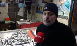 Ramazanda balık tezgahlarında hamsi ve istavrit bereketi
