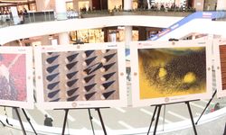 Samsun'da 'Bereketin Yüzyılı' fotoğraflarla görücüye çıktı