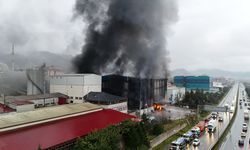Trabzon'da fındık fabrikasında yangın (3)