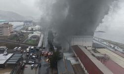 Trabzon'da fındık fabrikasında yangın/ Ek fotoğraflar
