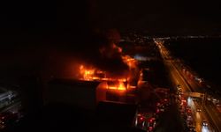 Trabzon'da yanan fındık fabrikasında hasar görüntülendi